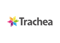 Trachea